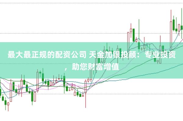 最大最正规的配资公司 天金加银投顾：专业投资，助您财富增值
