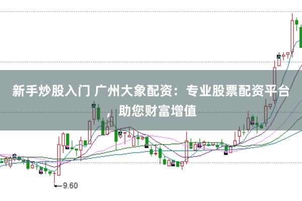 新手炒股入门 广州大象配资：专业股票配资平台，助您财富增值