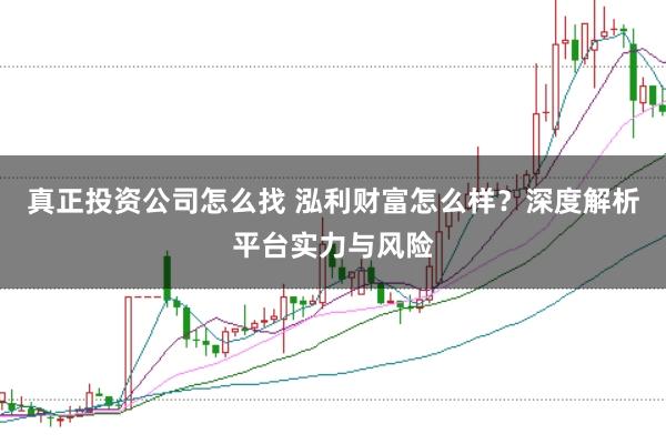 真正投资公司怎么找 泓利财富怎么样？深度解析平台实力与风险