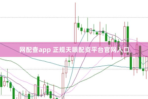网配查app 正规天眼配资平台官网入口