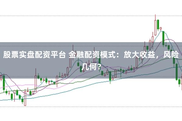 股票实盘配资平台 金融配资模式:放大收益,风险几何?