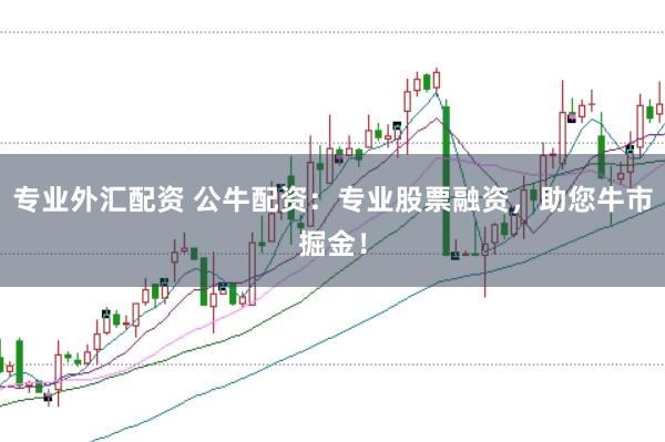 专业外汇配资 公牛配资：专业股票融资，助您牛市掘金！